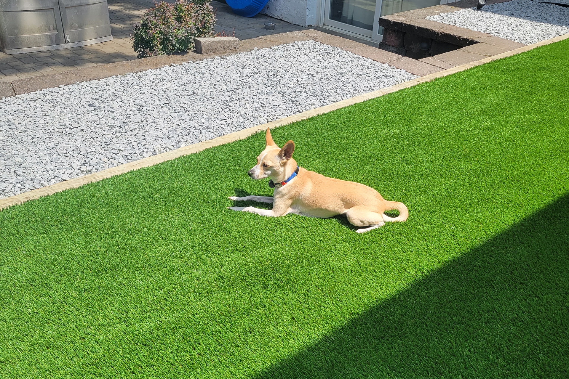 Pet Turf Installation in Plano TX